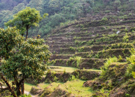Annapurna Circuit Trek